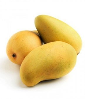 Organic Kesar Mango- Divine (10 Nos)