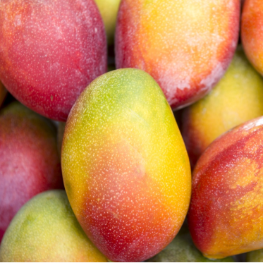 Can we Gift mangoes to key people in organisation